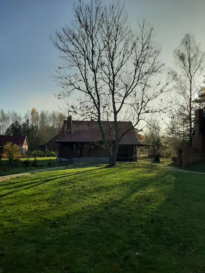 Agroturystyka Zubr Villa Siemianowka Exterior foto