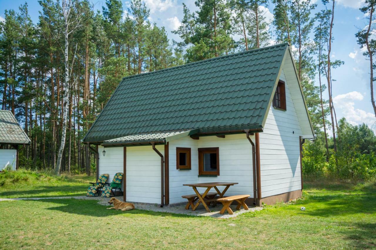 Agroturystyka Zubr Villa Siemianowka Exterior foto